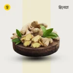 Mountain Ginger
